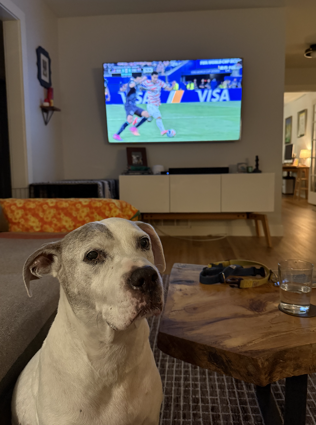Game's on at Squam's House! 